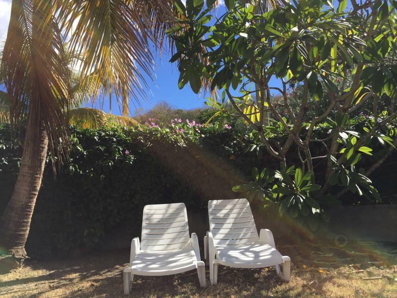 T2 Tropical En Bord De Piscine A 100M De La Mer Apartment Le Carbet Exterior foto